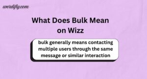 What Does Bulk Mean on Wizz